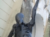 sarkandr9